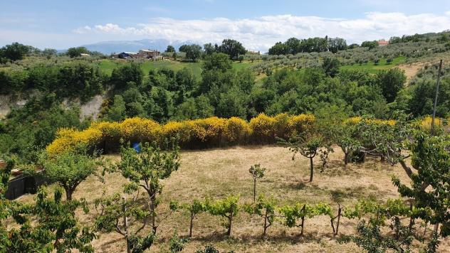 Bifamiliare in vendita a Civitella Casanova - Foto 15