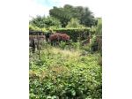 Casa indipendente di 214 m² con più di 5 locali in vendita a Treviso
