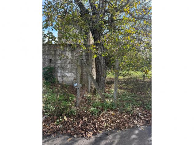 Agricolo in Via Cinquevie - Foto 3