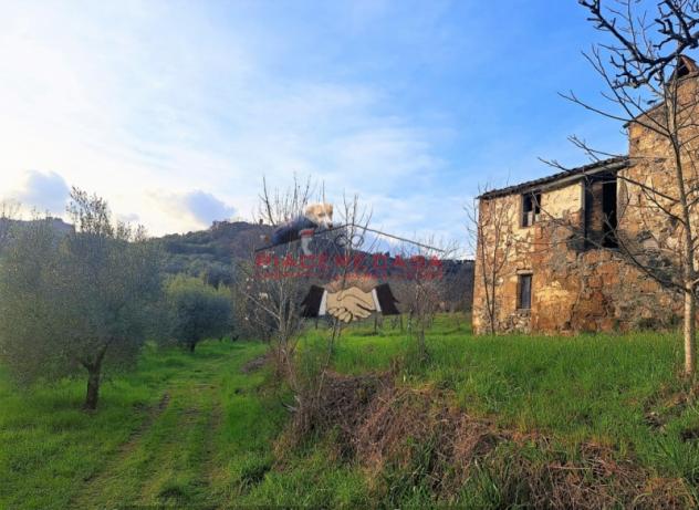 Bagnoregio (Civita di Bagnoregio) - Vendesi casale da ristrutturare con terreno in un bel contesto di campagna. - Foto 4