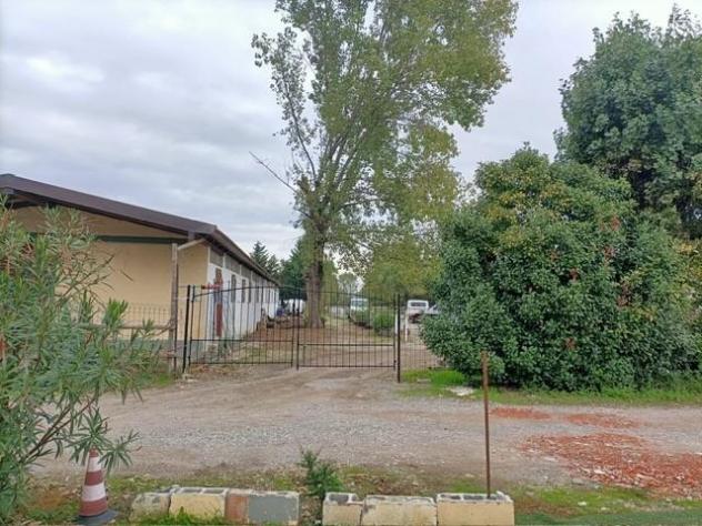 Sviluppo area sportiva centro equitazione - Foto 2