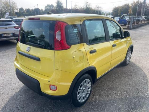 FIAT Panda 1.0 FireFly S&S Hybrid Pandina rif. 23992882 - Foto 6