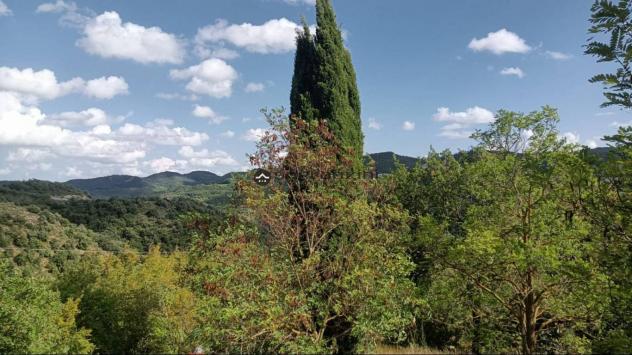 TORRICELLA: Fossombrone località torricella nell antico borgo medievale, sormontato dai ruderi di una rocca, da cui si dominava la valle del tarugo, a - Foto 7