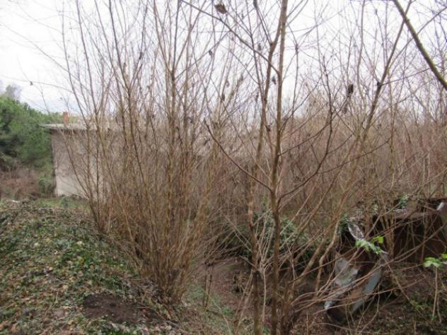 Immobile in asta di 61428 m² in vendita a Montorso Vicentino - Foto 5