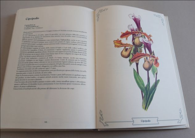 Ditelo con i fiori - Foto 9