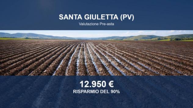Immobile in asta di 53969 m² in vendita a Santa Giuletta