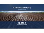 Immobile in asta di 53969 m² in vendita a Santa Giuletta