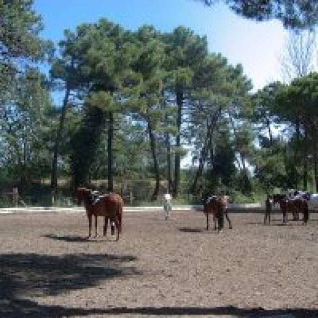Agenzia Immobiliare Romea