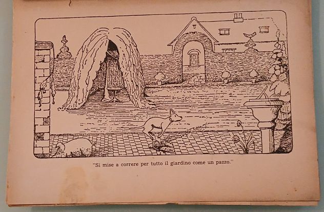 La storia del Dottor Fapoco, Giovanni Toracca, 1942. - Foto 8