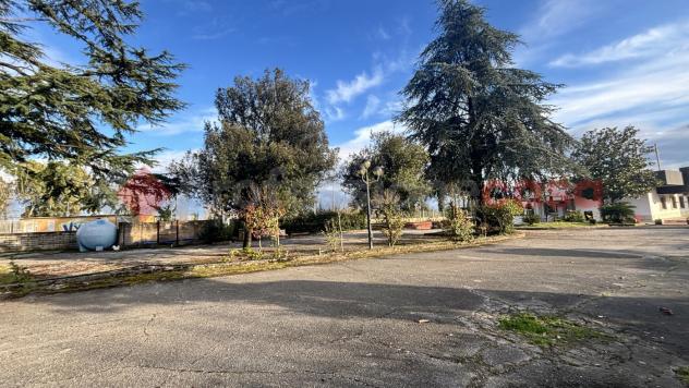 Negozio - Alatri . Rif.: Cod. rif 3293748ACG - Foto 7