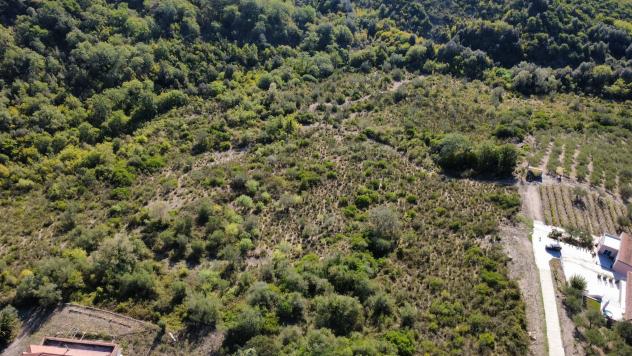 Agricolo in Via Piano Grande - Foto 6