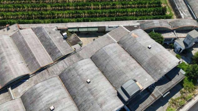 Immobile in asta di 8957 m² in vendita a Cotignola - Foto 15