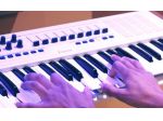 Pianista professionista