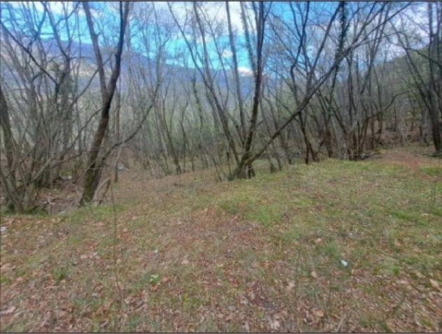 Immobile in asta di 8923 m² in vendita a Rovereto - Foto 2