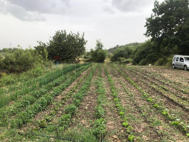 Terreno in vendita a Sortino - Foto 3
