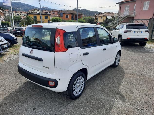 FIAT Pandina PANDA MY26 1.0 65CV HYBRID ICON - Foto 7