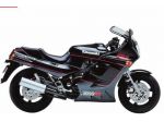 Kavasaki 1000 RX