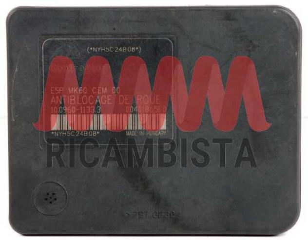 10096011333 Peugeot 206 centralina gruppo pompa ATE