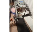 Tapis Roulant FASSI Z3 in perfette condizioni