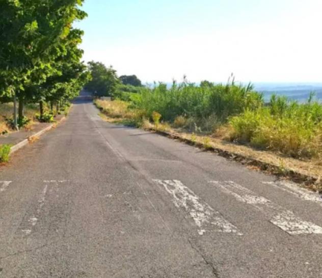 Immobile in asta di 727 m² in vendita a Bertinoro - Foto 2