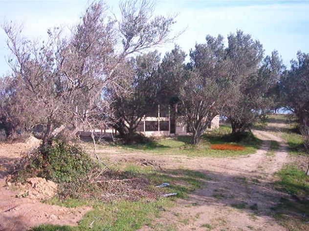 AZIENDA AGRICOLA IN BORGIA (CZ) HA 8 C. VENDESI - Foto 8