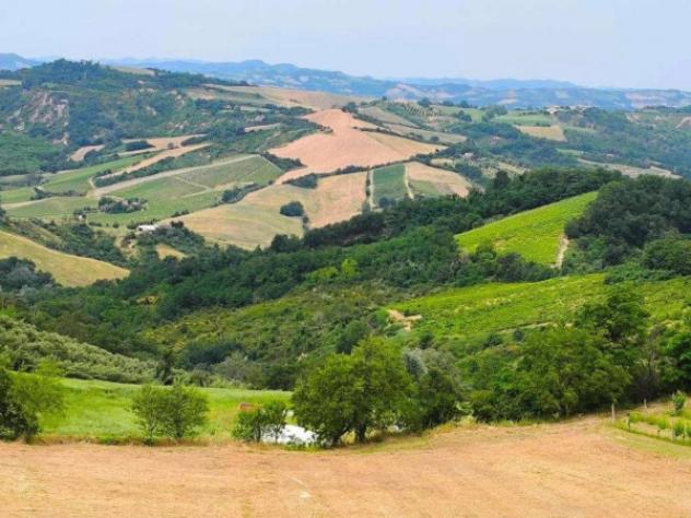 Immobile in asta di 73834 m² in vendita a Cesena - Foto 8