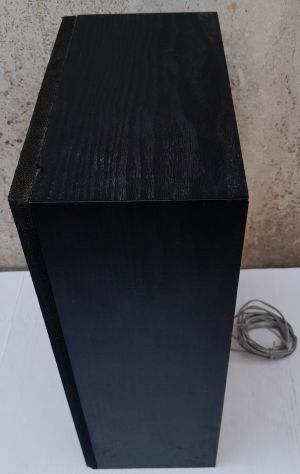 Cassa Amstrad Tower TS46 da usare come monitor o altri usi, cassa a 2 vie misure - Foto 3