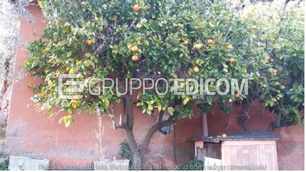 Porzione di immobile in vendita a Genzano di Roma - Rif. 3559613 - Foto 7