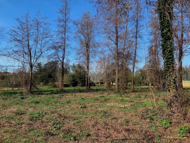 TERRENO AGRICOLO di 6980 mq (PIETRASANTA - Fiumetto) rif. 172/VE - Foto 11