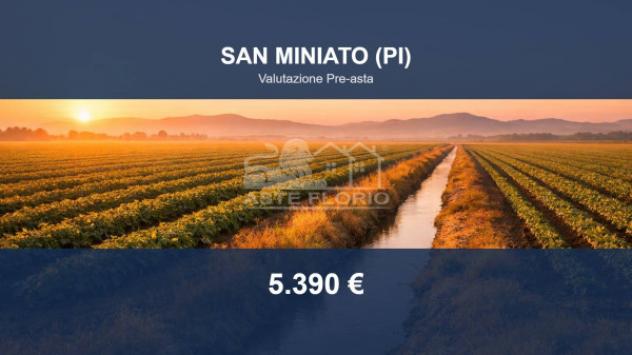Immobile in asta di 4780 m² in vendita a San Miniato