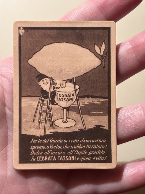CALAMITA/MAGNETE NUOVA QUASI INTROVABILE DA COLLEZIONE ORIGINALE CEDRATA TASSONI - Foto 8