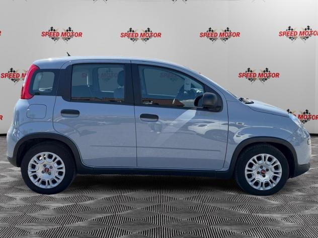 FIAT Panda 1.0 FireFly 70cv Hybrid, CARPLAY, PRONTA CONSEGNA! - Foto 3