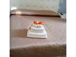 B&B Palazzo Rochira