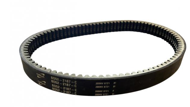 CINGHIA TRASM. BD52-2187 JDM ALOES ROXSY