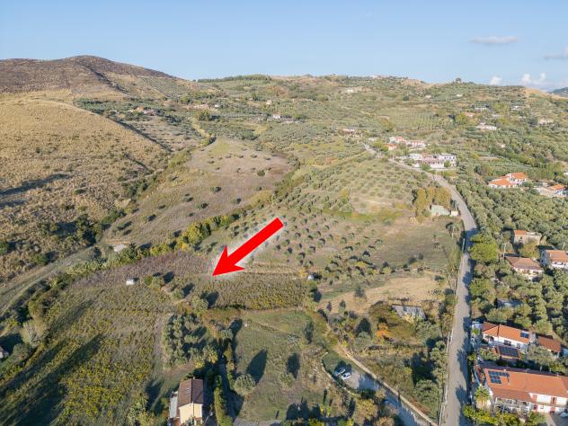 Agricolo in Via Alberico Guariglia - Foto 3