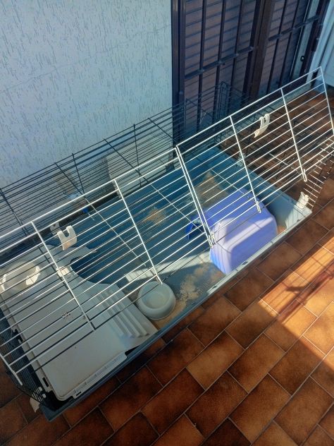 Vendo gabbia per cavia peruviana - Foto 3