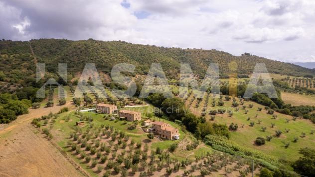 Appartamento in vendita a Cinigiano - Foto 8