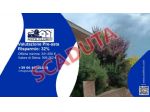 Immobile in asta di 294 m² con più di 5 locali e box auto doppio in vendita &hellip;