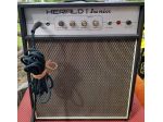 Amplificatore EKO