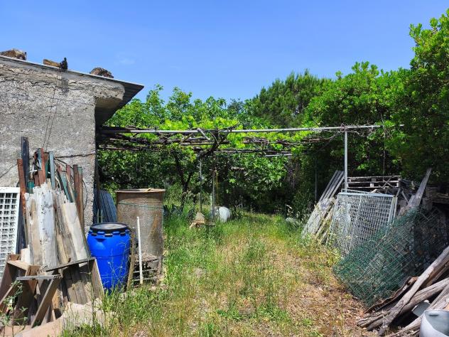 Agricolo in Contrada San Vincenzo - Foto 6