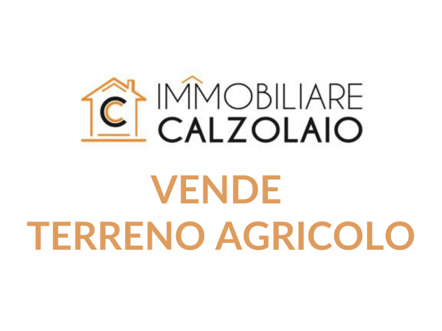 VENDITA TERRENO AGRICOLO ZONA INDUSTRIALE  GROTTAGLIE