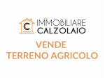 VENDITA TERRENO AGRICOLO ZONA INDUSTRIALE  GROTTAGLIE