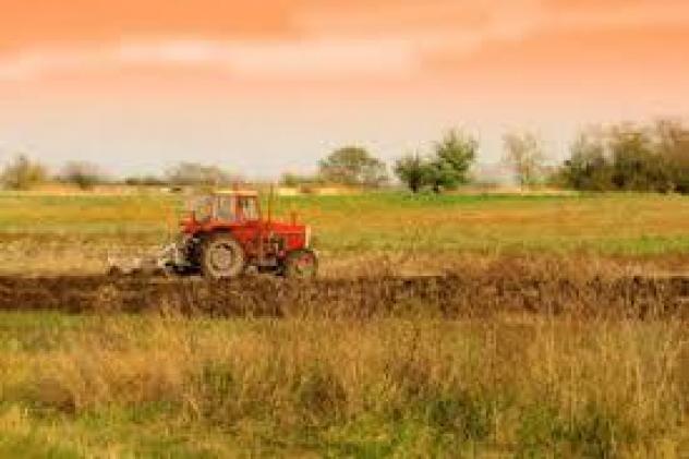 Terreno agricolo in vendita a Luni 1680 mq Rif: 1123031
