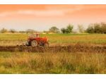Terreno agricolo in vendita a Luni 1680 mq  Rif: 1123031