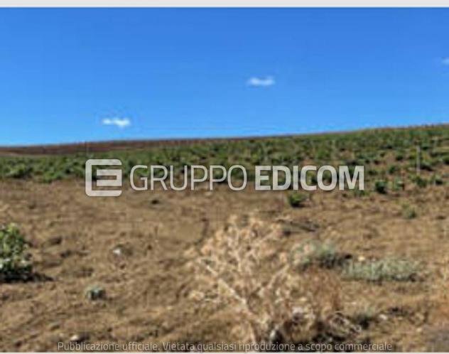 Terreno di 118260 mq in vendita a Monreale - Rif. 4552644