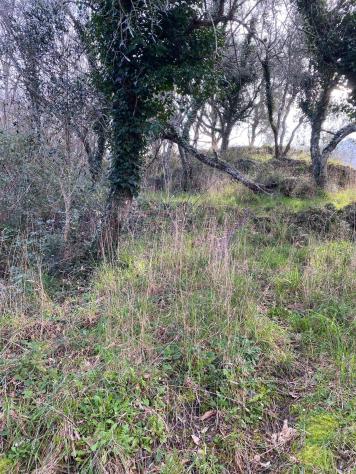 Agricolo in Via Campo di Ne - Foto 4
