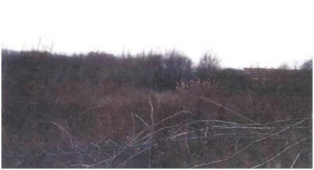 Immobile in asta di 3756 m² in vendita a Vallefoglia - Foto 2