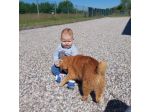 Marco cerca una babysitter - lavoro da babysitter a Padova