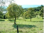 Agricolo in vendita a Barberino di Mugello