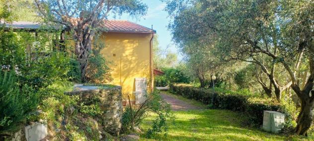 casa indipendente in vendita a Camaiore in zona Capezzano Pianore